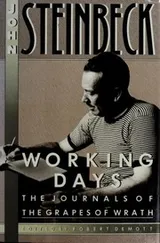 Cover of Working days