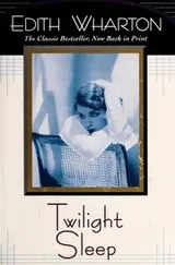 Cover of Twilight sleep
