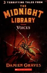 Cover of Voices