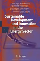 Cover of Sustainable Development and Innovation in the Energy Sector