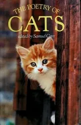 Cover of The Poetry of Cats