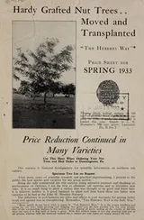 Cover of Hardy grafted nut trees ... moved and transplanted "the Hershey way"