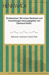 Cover of Briefwechsel