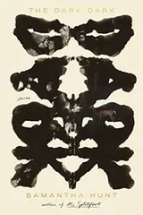 Cover of The Dark Dark