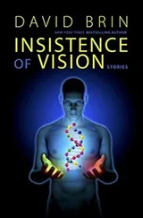 Cover of Insistence of Vision