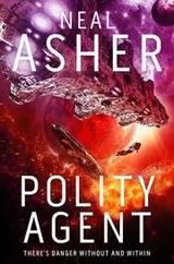 Cover of Polity Agent (Agent Cormac)