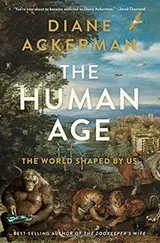 Cover of The Human Age: The World Shaped By Us