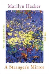Cover of A Stranger's Mirror: New and Selected Poems, 1994-2014