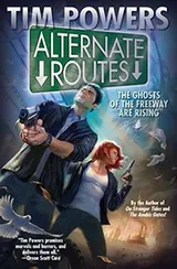 Cover of Alternate Routes