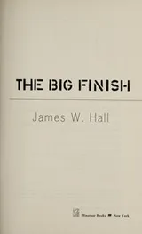 Cover of The big finish