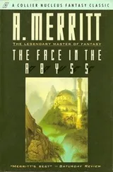 Cover of The face in the abyss