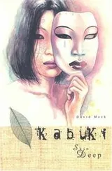 Cover of Kabuki, skin deep