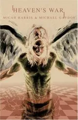 Cover of Heaven's war