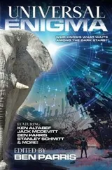 Cover of Universal Enigma Anthology