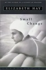 Cover of Small Change