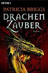 Cover of Drachenzauber