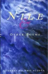 Cover of Nile & Other Poems