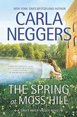 Cover of The Spring at Moss Hill (Swift River Valley-HC Library Edition)