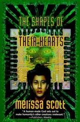Cover of The Shapes of their Hearts