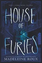 Cover of House of Furies