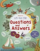 Cover of Questions and Answers (Usborne Lift the Flap Books)