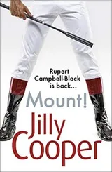 Cover of Mount!