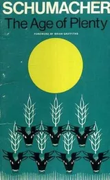 Cover of The age of plenty