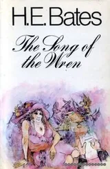 Cover of The song of the wren