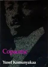 Cover of Copacetic