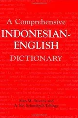Cover of A comprehensive Indonesian-English dictionary