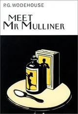 Cover of Meet Mr. Mulliner
