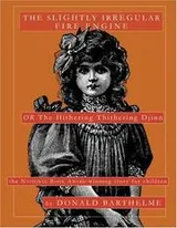 Cover of The slightly irregular fire engine