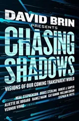 Cover of Chasing Shadows: Visions of Our Coming Transparent World