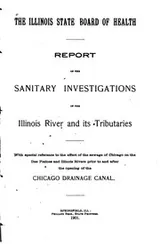 Cover of Report of the sanitary investigations of the Illinois river and its tributaries