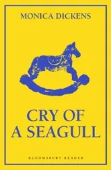 Cover of Cry of a seagull