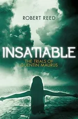 Cover of Insatiable (The Trials of Quentin MAURUS  Book 2)