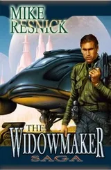 Cover of Widowmaker Saga