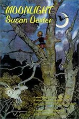Cover of Moonlight