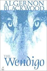 Cover of The Wendigo