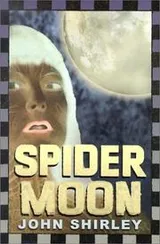 Cover of Spider Moon