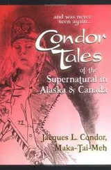 Cover of Condor Tales of the Supernatural in Alaska & Canada