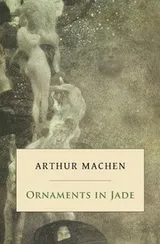 Cover of Ornaments in jade