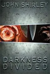 Cover of Darkness Divided