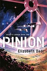 Cover of Pinion (Jacobs Ladder)