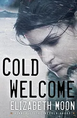 Cover of Cold Welcome (Vatta's Peace Book 1)