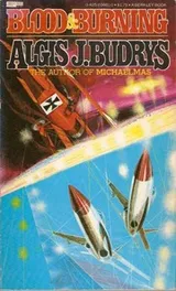 Cover of Blood and burning