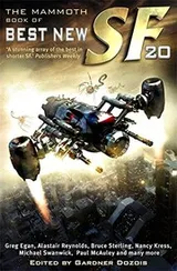 Cover of The Mammoth Book of Best New Science Fiction: v. 20