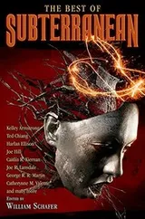 Cover of The Best of Subterranean