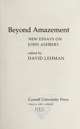 Cover of Beyond amazement