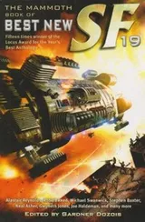 Cover of The Mammoth Book of Best New Science Fiction: v. 19 (Mammoth Books)